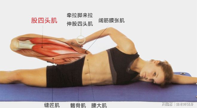 健身后放松肌肉的方法_健身后放松肌肉的动作视频_健身完肌肉放松