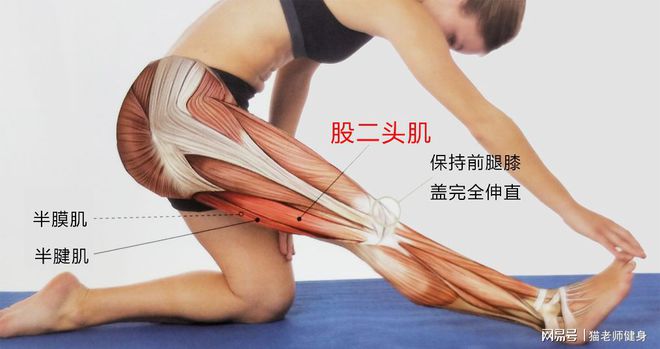 健身完肌肉放松_健身后放松肌肉的方法_健身后放松肌肉的动作视频