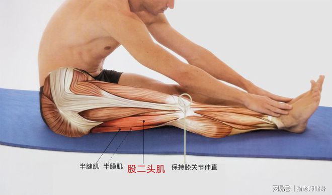 健身后放松肌肉的动作视频_健身后放松肌肉的方法_健身完肌肉放松