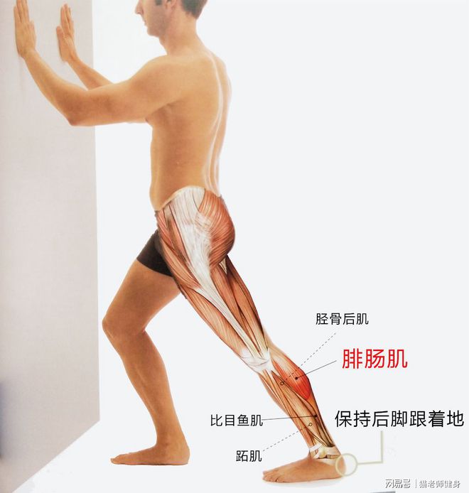 健身后放松肌肉的方法_健身完肌肉放松_健身后放松肌肉的动作视频