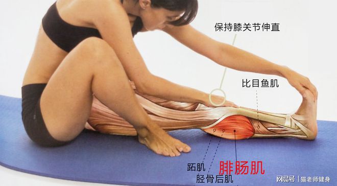 健身完肌肉放松_健身后放松肌肉的方法_健身后放松肌肉的动作视频