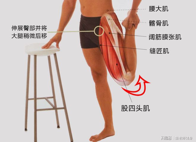 健身完肌肉放松_健身后放松肌肉的方法_健身后放松肌肉的动作视频