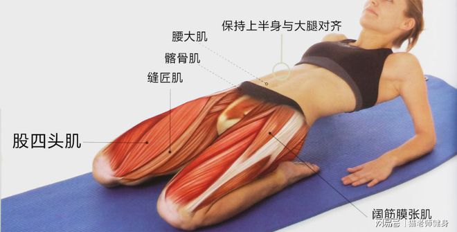 健身完肌肉放松_健身后放松肌肉的动作视频_健身后放松肌肉的方法
