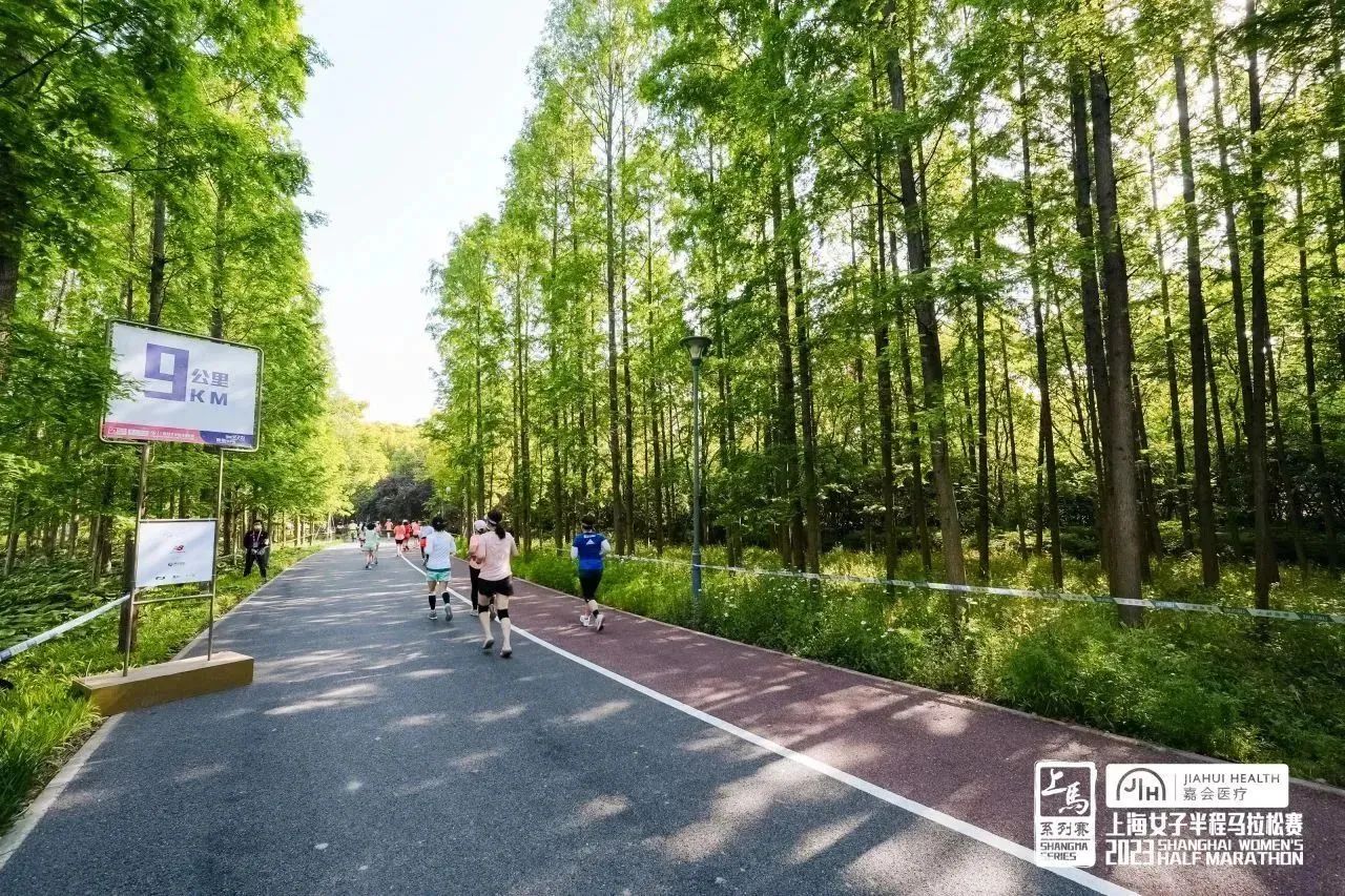 蒲河半程马拉松报名_2022年半程马拉松报名_马拉松半程赛2021报名