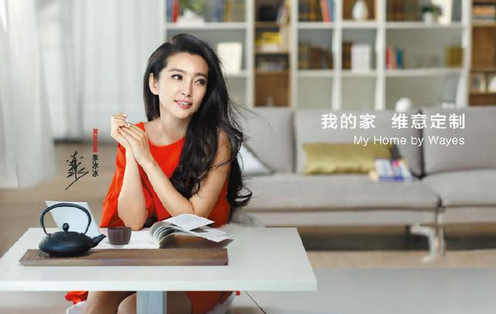 细数十大整体衣柜品牌那些得力的代言人