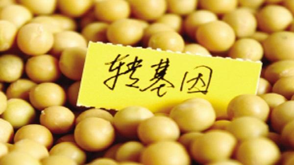 食物健康的句子_对身体健康的食物_食物健康的资料