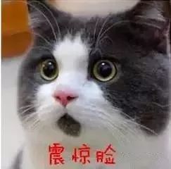 健身的男人明星是谁_健身明星男人是什么样的_健身的明星男