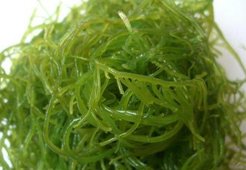 食物身体健康图片_对身体健康的食物_食物健康