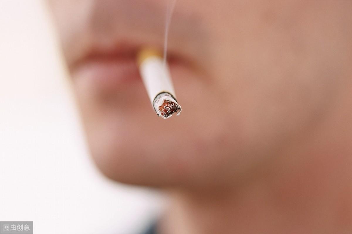 对身体健康的食物_食物健康_食物健康的句子