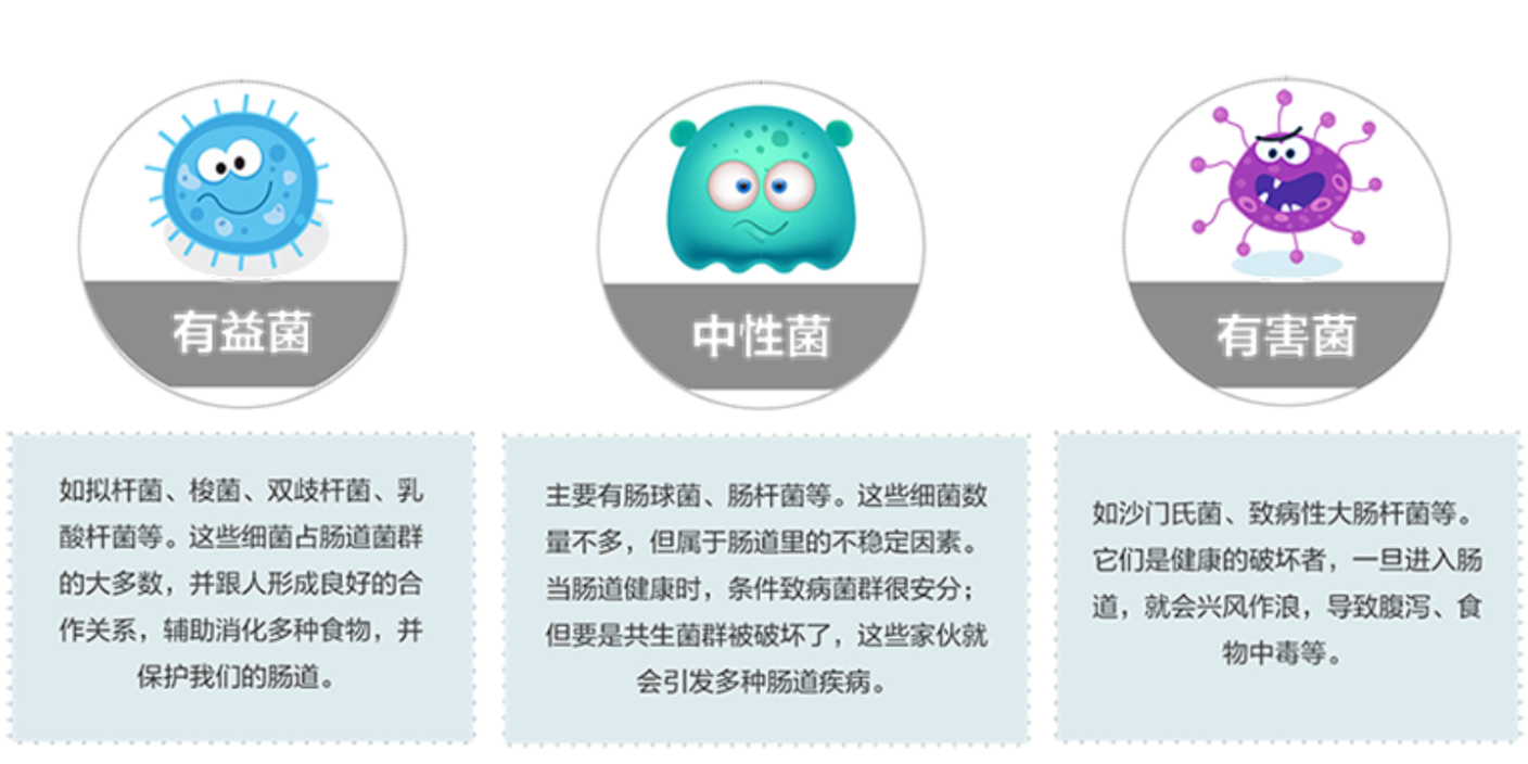 山东亚健康人群菌群检测常用方法,菌群检测
