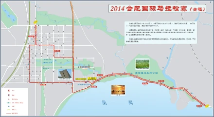 合肥马拉松官网查成绩_合肥马拉松2021报名查询_合肥马拉松成绩查询