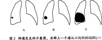 亚健康人的保健指导_亚健康人员的健康教育_亚健康人指导