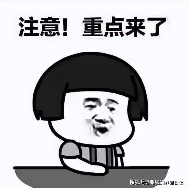 健康调理吴老师真假_猫咪只吃猫粮健康吗_猫咪皮肤亚健康调理